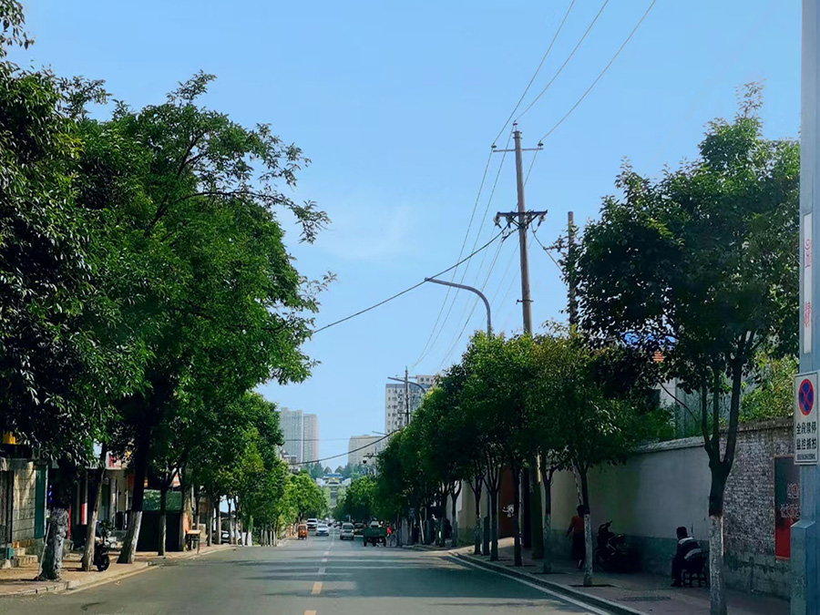 八一路