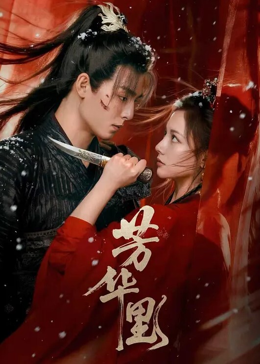 探花精选良家范气质美人妻戴眼镜跟老师一样角度专业各种插入细节 - 插Video