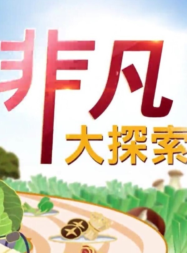 私房大神华仔原创私拍买了3W块茶叶泡到茶叶店销售小妹酒店谈心约炮啪啪啪 - 插Video